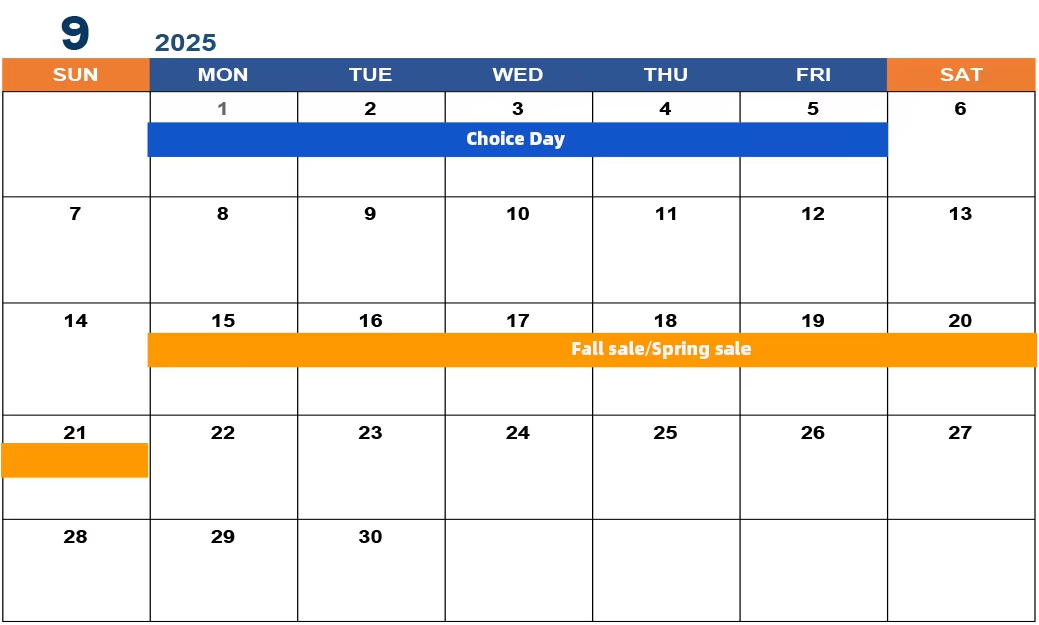 알리익스프레스 9월 프로모션 일정