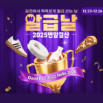 알리익스프레스 12월 알급날