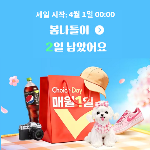 알리익스프레스 4월 초이스 데이