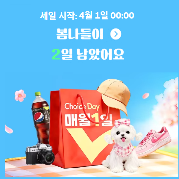 알리익스프레스 4월 초이스 데이